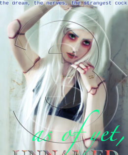 the dream, the nerves, the strangest cock